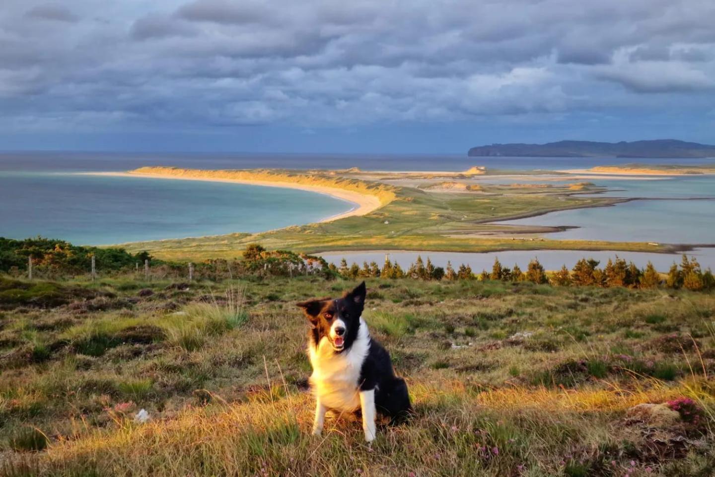 Machaire Rabhartaigh Glamping Chalet *